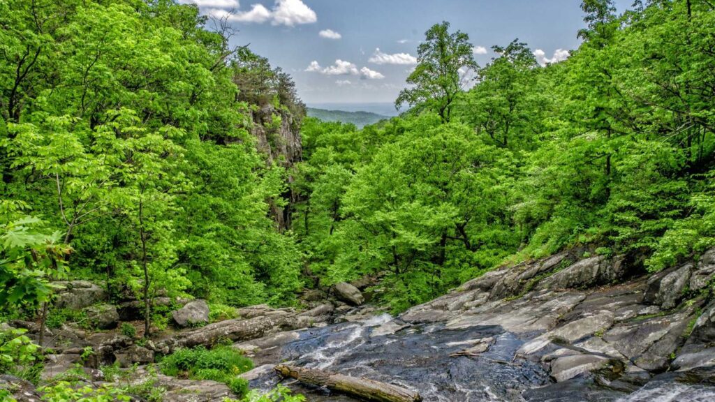 南千住駅 ランチ まとめ