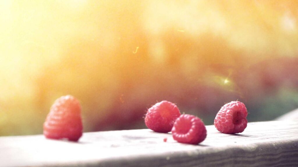 三越前駅 ランチ まとめ