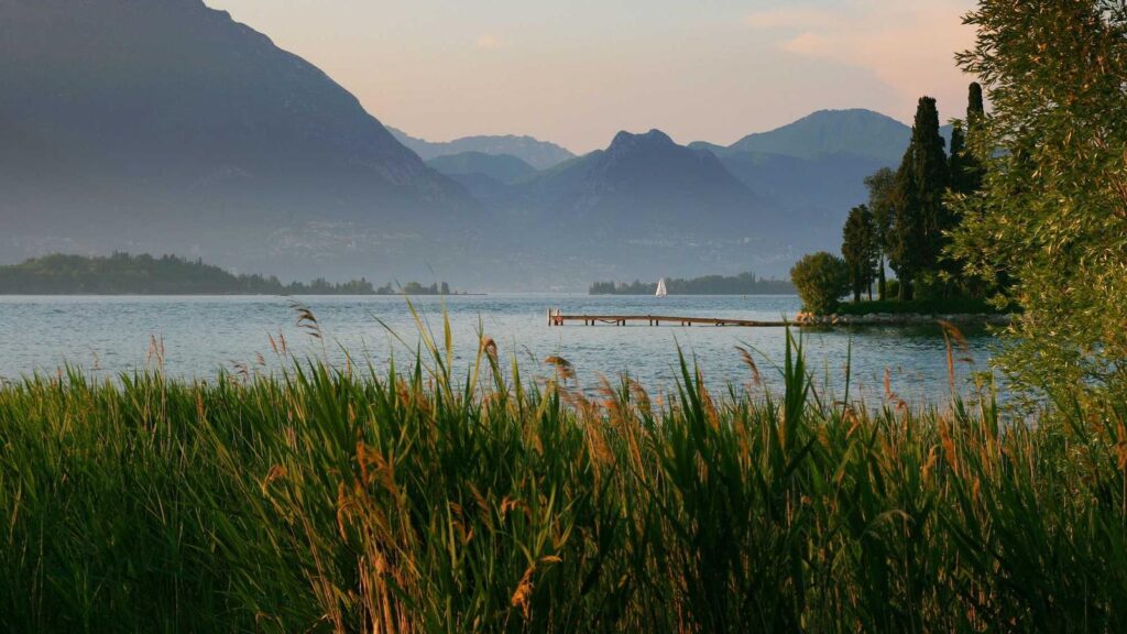 三鷹台駅 ランチ シャララ舎：琥珀糖専門店