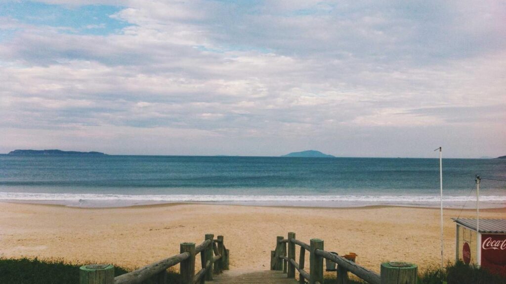 電力会社 乗り換え おすすめ 電力会社を選ぶ際のポイントは何ですか？