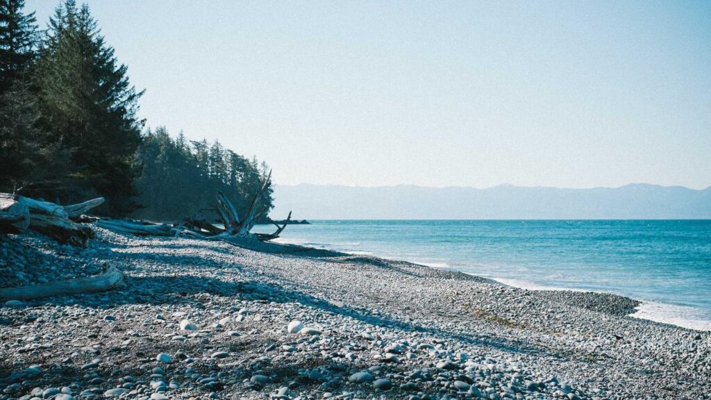 葛西臨海公園駅 居酒屋 5. 有限会社保修商店