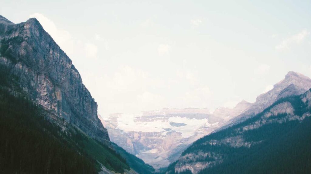 梶原駅 居酒屋 肉問屋直送 焼肉 肉一 上中里店