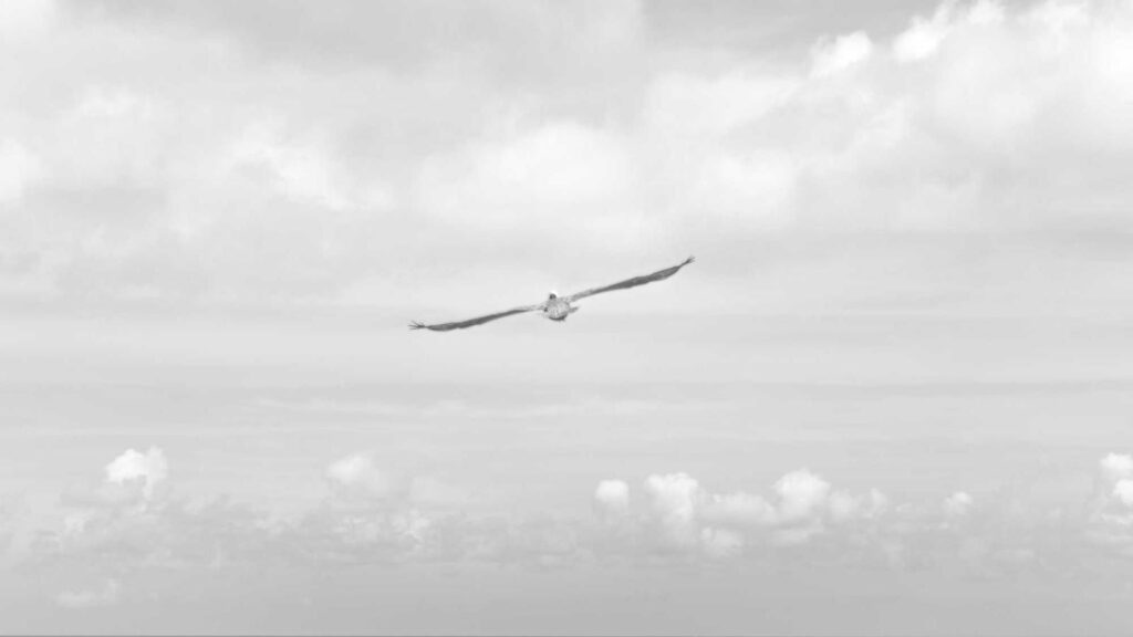 南新宿駅 ランチ 2. シュラスコレストラン ALEGRIA shinjuku：本格シュラスコを堪能