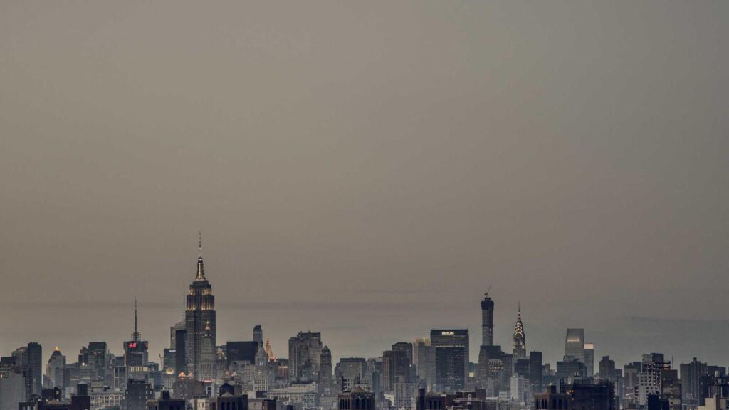 牛込柳町駅 焼肉 牛込柳町駅周辺の焼肉店の特徴