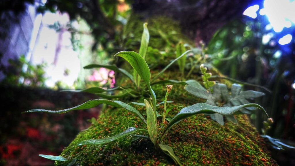 錦糸町 ランチ がっつり