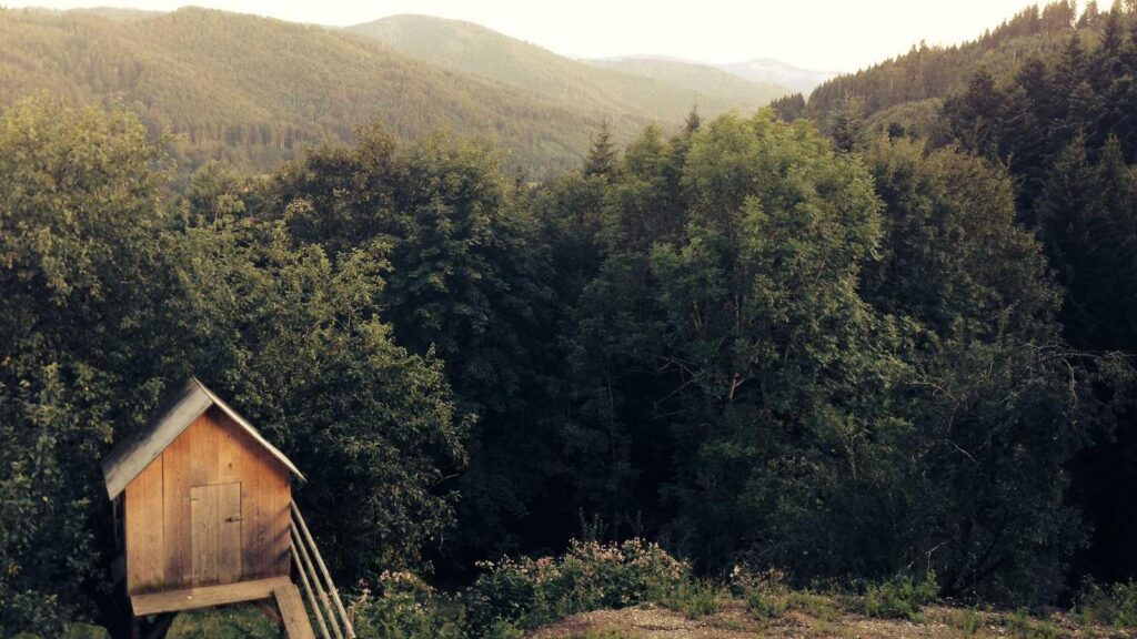 クラウド会計 比較 おすすめ クラウド会計ソフトのサポート体制はどうなっていますか？