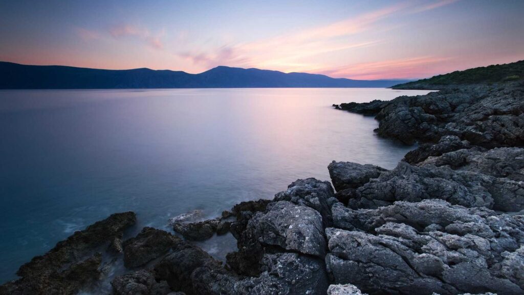 東大前駅 カフェ 6. 自家焙煎珈琲 みじんこ：スペシャリティコーヒーの名店