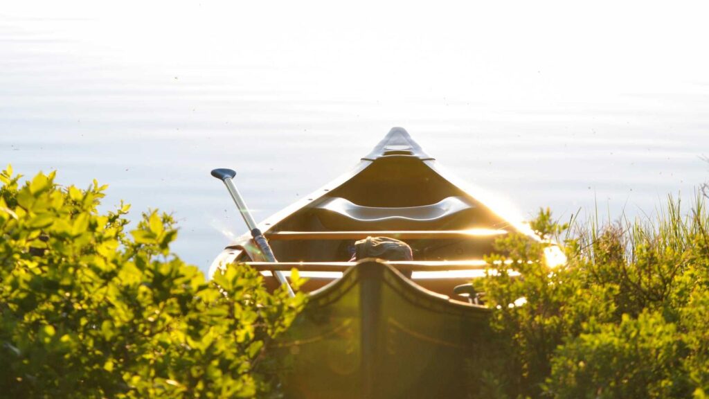 新宿 居酒屋 おすすめ まとめ