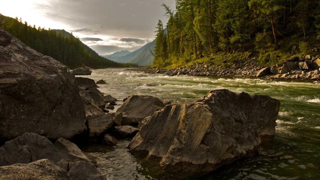 尾山台駅 ラーメン ラーメン店選びのポイント