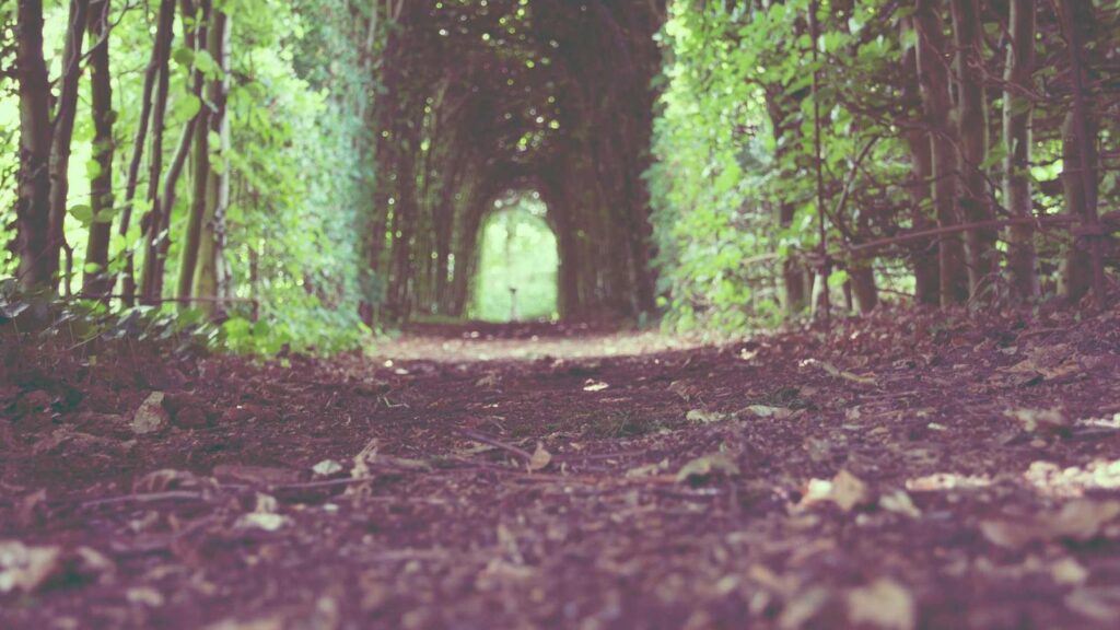 町屋駅 ランチ プージャー：本格インドカレーを堪能