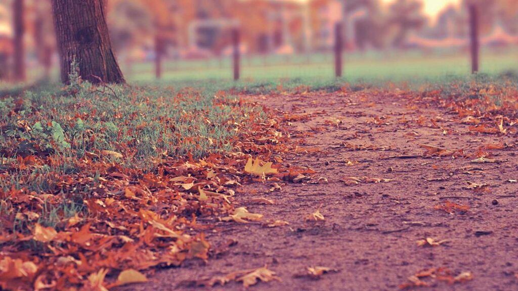 円安 なぜ 円安が家計に及ぼす影響とは？