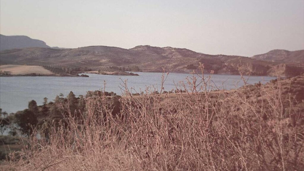 芝浦ふ頭駅 居酒屋 Abbraccio