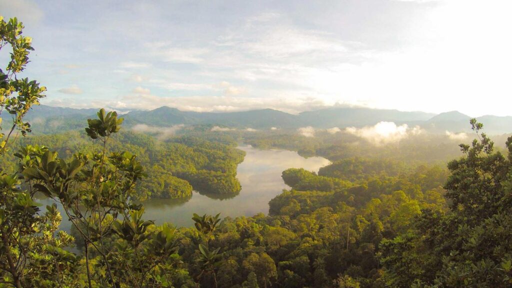 上町駅 ラーメン 上町駅周辺のラーメン店の特徴