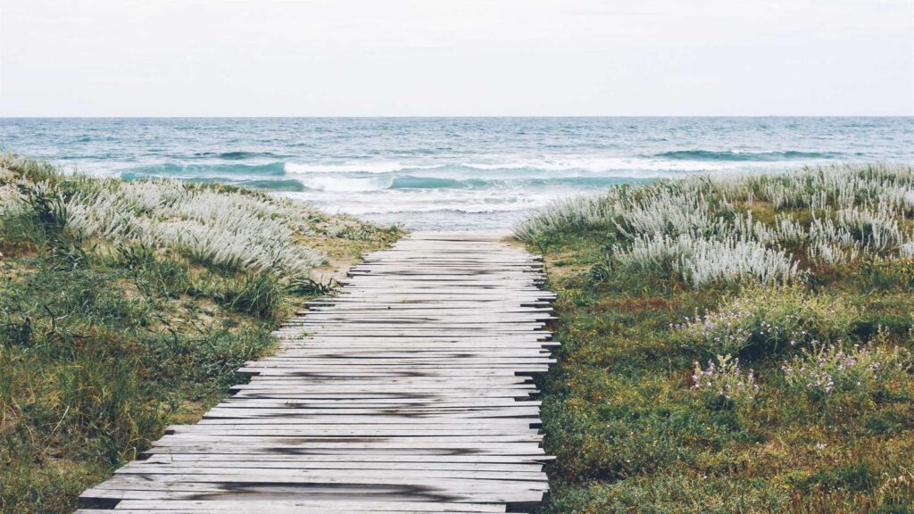 南大沢駅 ランチ テイクアウト可能なお店
