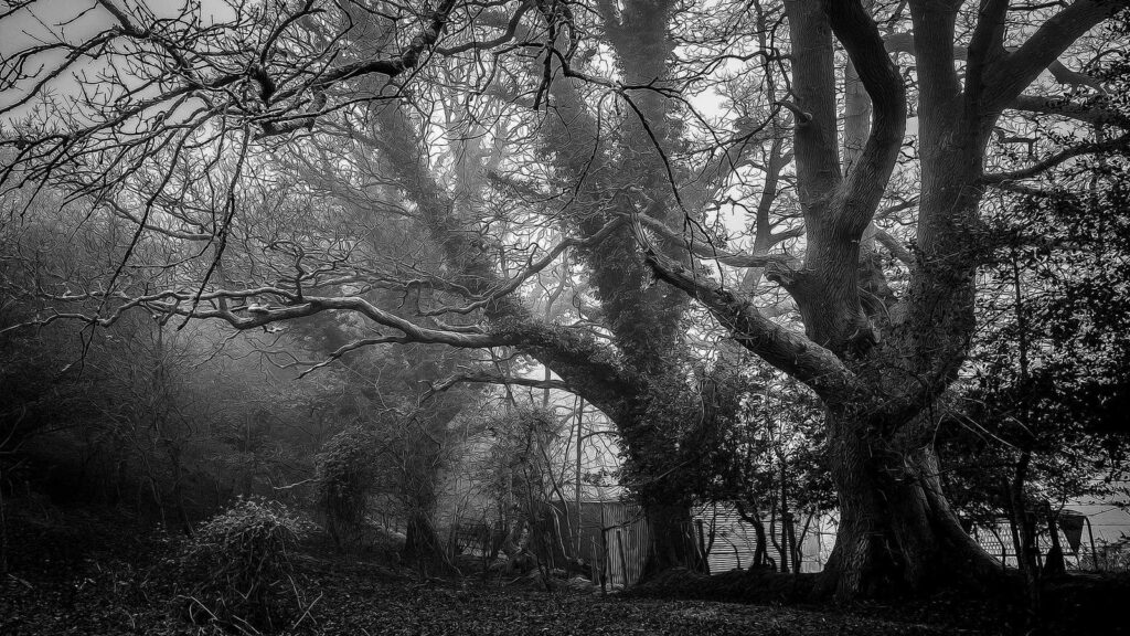 格安SIM 比較 速度 通信速度が速い格安SIMの特徴は？