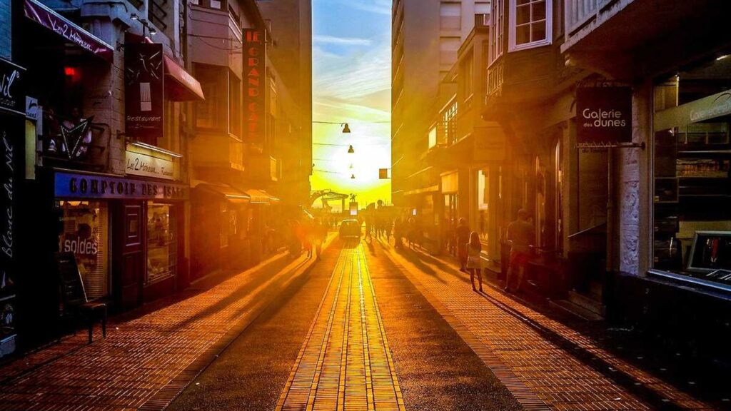 板橋 動物病院 むに動物病院