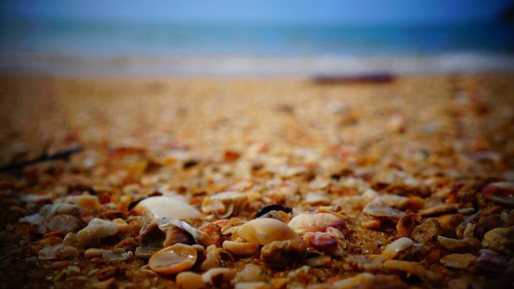 大分 鶏天 和スイーツも楽しめる 甘味茶屋