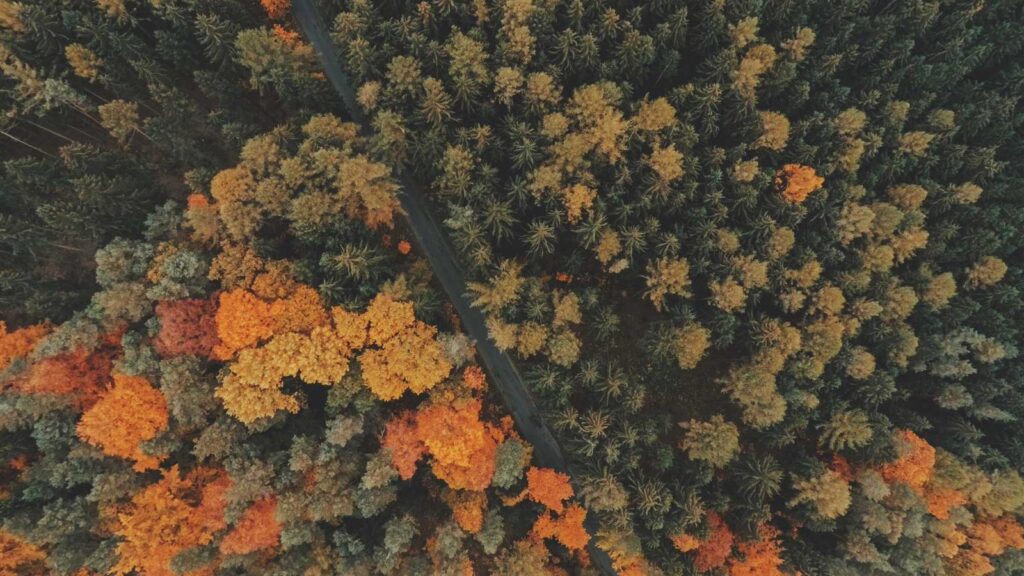 梅ケ丘駅 焼肉 焼肉 テラス苑