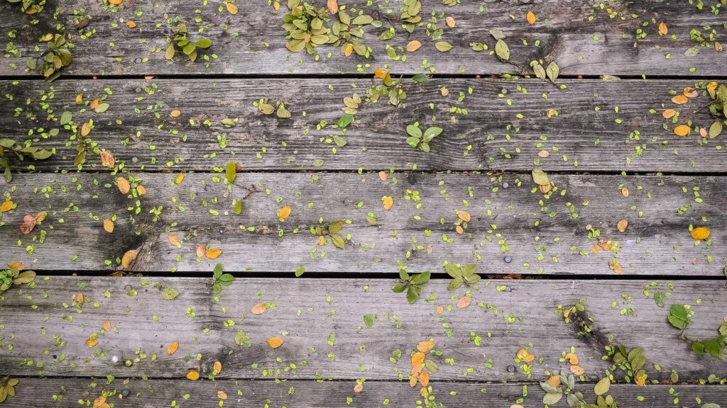 三田駅 ランチ ヤマトカフェ：ふわしゅわパンケーキが自慢のカフェ