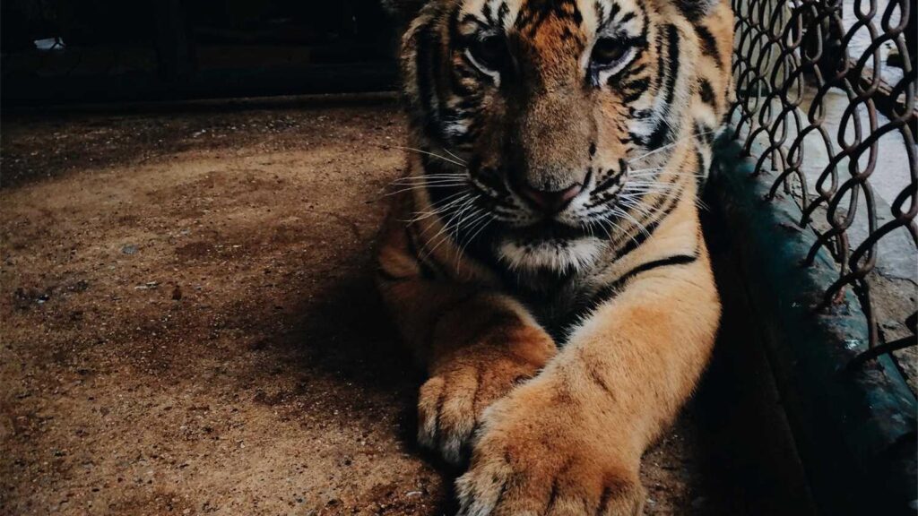 牛浜駅 ラーメン 牛浜駅周辺でラーメン店を選ぶポイント