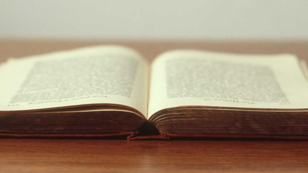 神楽坂駅 居酒屋 FAST OYSTERS 神楽坂店：新鮮な牡蠣を堪能できるオイスターバー