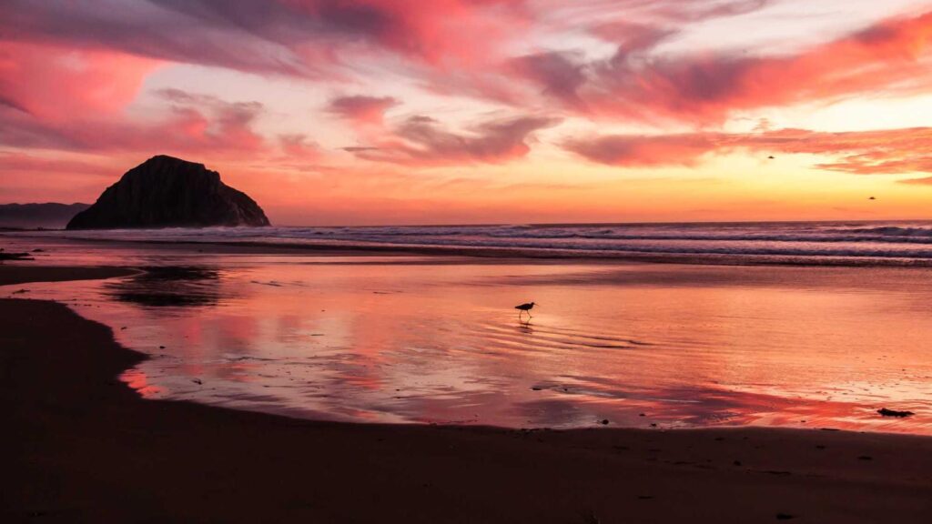 等々力駅 カフェ ドトールコーヒーショップ 等々力店