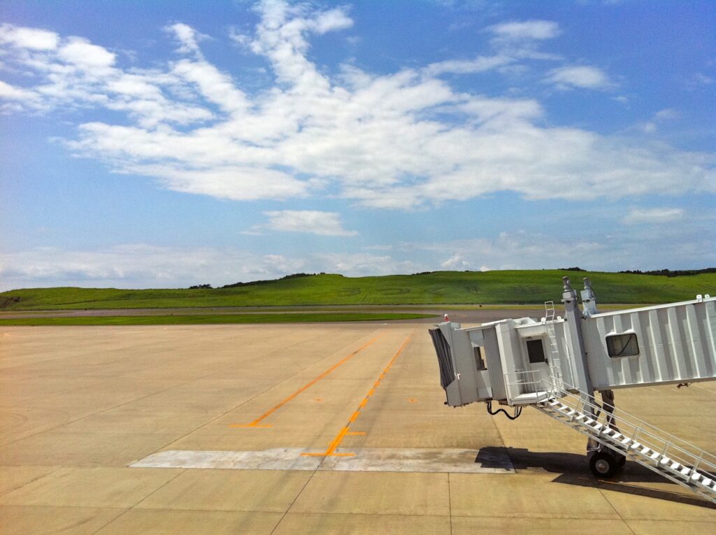 福島 円盤餃子 円盤餃子とは?その歴史と特徴