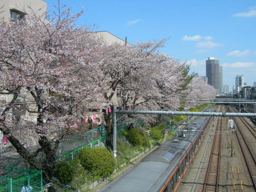 東中野 ランチ 東中野ランチを選ぶときのチェックポイント