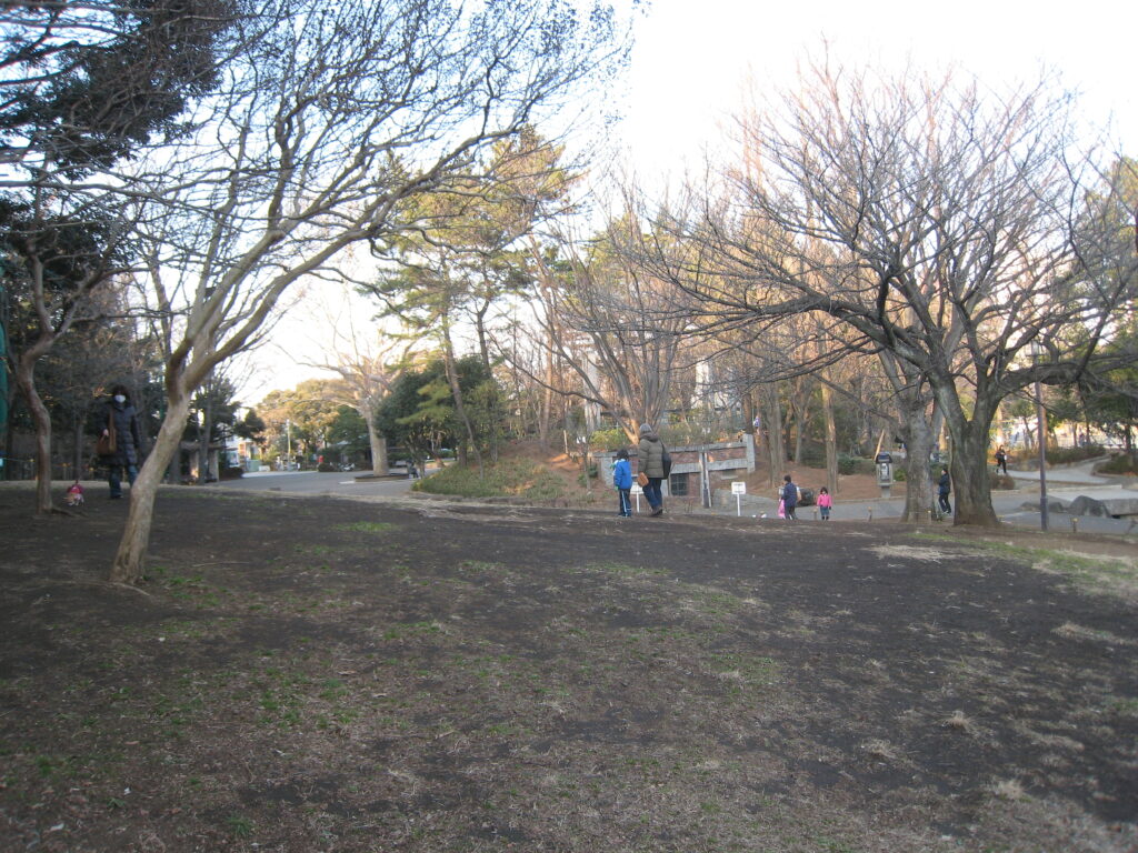 高円寺 ランチ 5. カフェフルール
