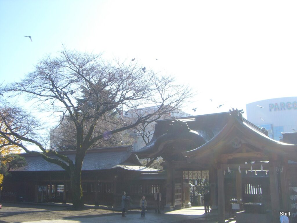 宇都宮 餃子 おすすめ シーン別に選ぶ宇都宮餃子の楽しみ方