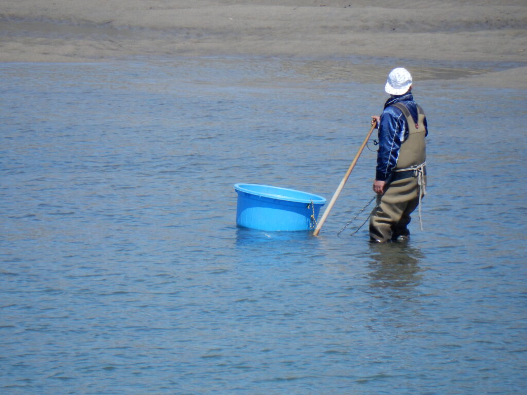 しじみ 二日酔い しじみの栄養成分にはどのようなものがある？