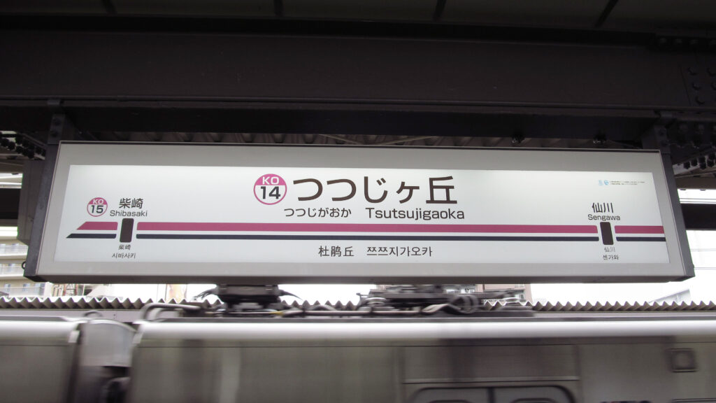 つつじヶ丘駅 ラーメン 6. 家系ラーメン 武蔵家