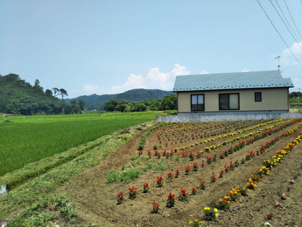 白河市 ラーメン 手打中華 すずき：地元民に愛される一杯