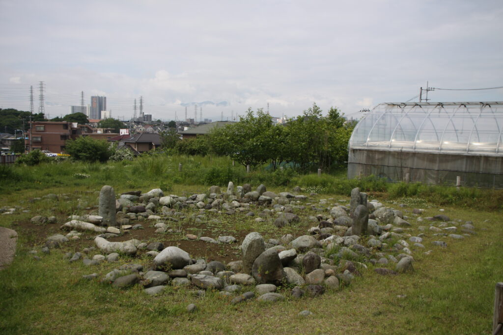 田端 ラーメン 1. 麺屋はやさか