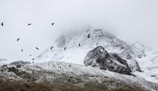 三河島駅周辺で楽しめるおすすめランチスポットを徹底紹介｜予算別・ジャンル別に詳しく解説