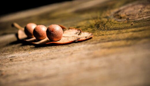 亀戸水神駅周辺のおすすめラーメン店ガイド