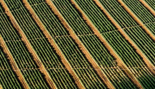 上野でのデートに最適な焼肉店ガイド