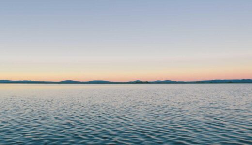 永福町駅周辺のおすすめ焼肉店ガイド