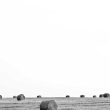 久我山駅周辺のおすすめ居酒屋ガイド