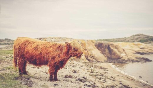 内幸町駅周辺のおすすめラーメン店ガイド