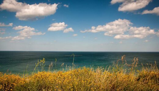 六本木で接待に使える和食店を厳選紹介｜個室・予算・雰囲気まで徹底解説