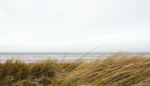 井の頭線沿線のおすすめ焼肉店ガイド｜エリア別にわかる人気店と選び方