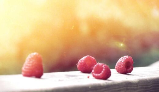 表参道で静かに過ごせるおすすめカフェ8選【落ち着いた空間でひとり時間や作業にも】