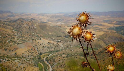 上北沢駅周辺のおすすめラーメン店ガイド｜ジャンル別・シーン別に徹底紹介