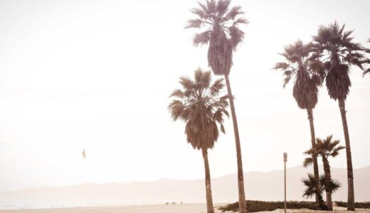 鵜の木駅周辺のおすすめ焼肉店ガイド｜用途別に選べる人気店を徹底紹介