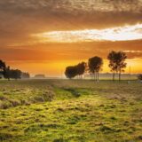 九段下駅周辺のおすすめ居酒屋ガイド