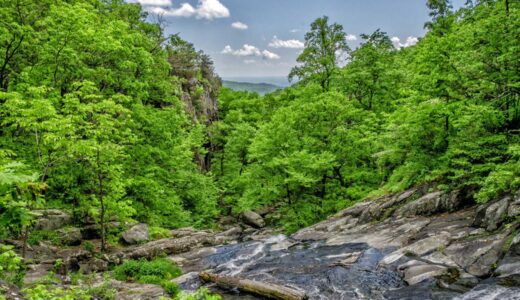 南千住駅周辺で楽しむ多彩なランチスポット完全ガイド