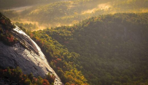 電動ひげ剃りおすすめ比較で迷わないための深剃り性能と肌への優しさを本音で徹底解説