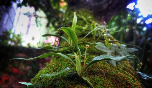 錦糸町でがっつりランチを楽しめるおすすめ店8選【満腹重視で選ぶ】