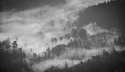 亀有駅周辺のおすすめラーメン店ガイド